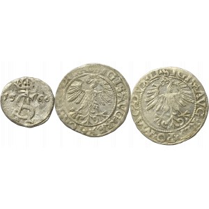 Sigismund II Augustus, Lot of halfgroats and 2 denarii