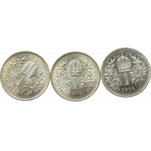 Austro-Węgry zestaw 1 korona 1914-1916 (3 egz)