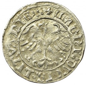 Sigismund I the Old, Halfgroat 1510, Vilnius