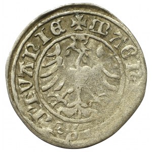 Sigismund I the Old, Halfgroat 1509, Vilnius