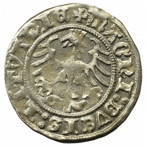 Sigismund I the Old, Halfgroat 1512, Vilnius