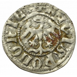 Vladislaus II, halfgroat