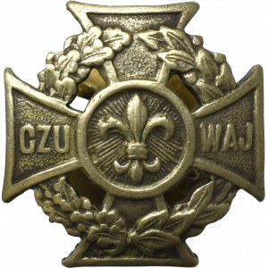 II RP, Odznaka Harcerska 80 SERIA