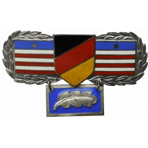 PSZnZ, Odznaka Polskie Oddziały Wartownicze przy Armii USA