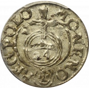 Zygmunt III Waza, Półtorak 1623, Bydgoszcz - PCGS MS62