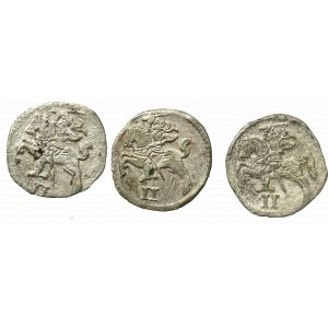 Sigismund II Augustus, Lot of 2 denarii (3 ex)