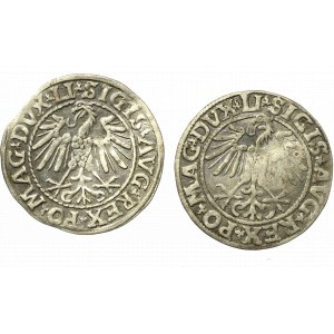 Sigismund II Augustus, Lot of halfgroats