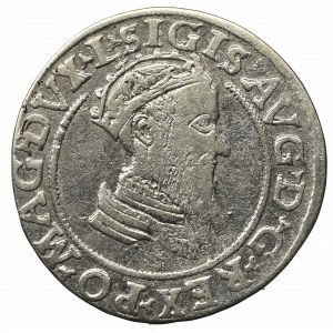 Sigismund II August, 4 groschen 1569, Vilnius, L/LITVA