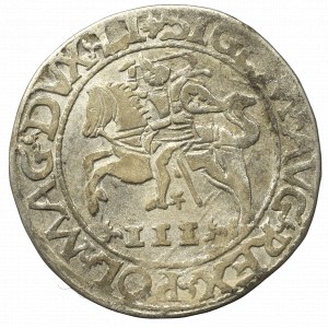 Sigismund II Augustus, 3 groschen 1565, Tykocin