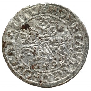 Sigismund II Augustus, Halfgroat 1549, Vilnius