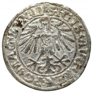 Sigismund II Augustus, Halfgroat 1549, Vilnius