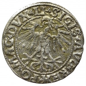 Sigismund II Augustus, Halfgroat 1550, Vilnius