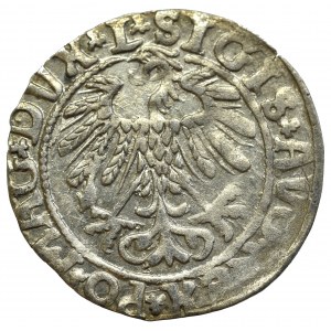 Sigismund II Augustus, Halfgroat 1558, Vilnius