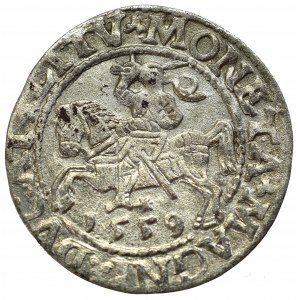 Sigismund II Augustus, Halfgroat 1559, Vilnius