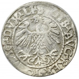 Sigismund II Augustus, Halfgroat 1559, Vilnius