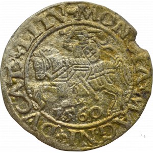 Sigismund II Augustus, Halfgroat 1560, Vilnius - LI/LITVA