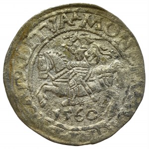 Sigismund II Augustus, Halfgroat 1560, Vilnius - LI/LITVA