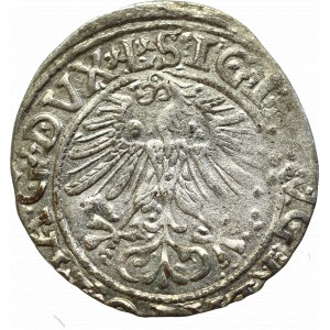 Sigismund II Augustus, Halfgroat 1565, Vilnius