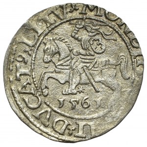 Sigismund II Augustus, Halfgroat 1563, Vilnius