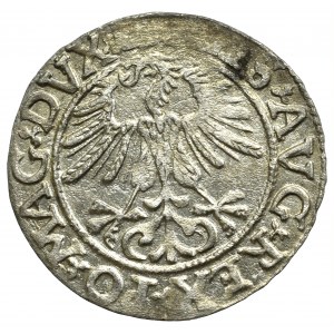 Sigismund II Augustus, Halfgroat 1563, Vilnius