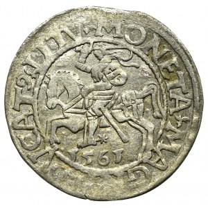 Sigismund II Augustus, Halfgroat 1563, Vilnius