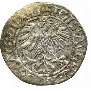 Sigismund II Augustus, Halfgroat 1565, Vilnius