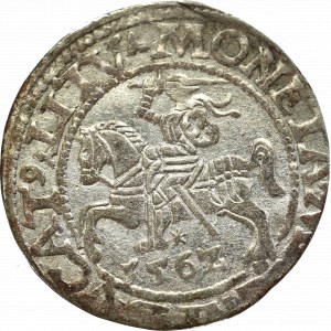 Sigismund II Augustus, Halfgroat 1562, Vilnius