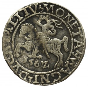 Sigismund II Augustus, Halfgroat 1562, Vilnius