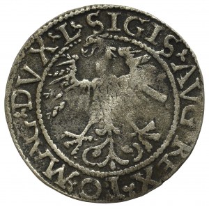 Sigismund II Augustus, Halfgroat 1562, Vilnius