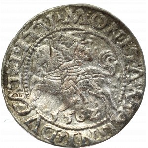 Sigismund II Augustus, Halfgroat 1562, Vilnius