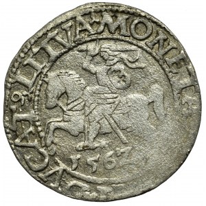 Sigismund II Augustus, Halfgroat 1562, Vilnius