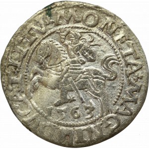 Sigismund II Augustus, Halfgroat 1563, Vilnius - L/LITV