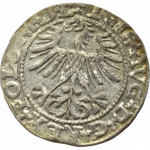 Zygmunt II August, Półgrosz 1563, Wilno - L/LITVA