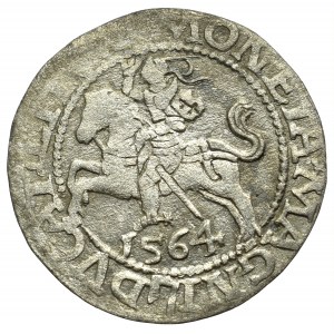 Sigismund II Augustus, Halfgroat 1564, Vilnius - L/LITV