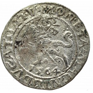 Sigismund II Augustus, Halfgroat 1564, Vilnius - L/LITV