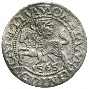 Sigismund II Augustus, Halfgroat 1565, Vilnius - L/LITV