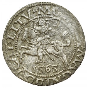 Sigismund II Augustus, Halfgroat 1565, Vilnius