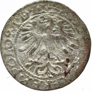 Sigismund II Augustus, Halfgroat 1565, Vilnius