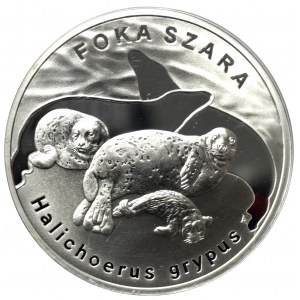 III RP, 20 złotych 2007 Foka Szara