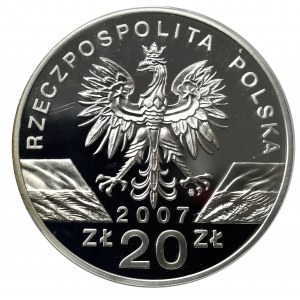 III RP, 20 złotych 2007 Foka Szara