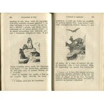 ELJASZ-RADZIKOWSKI Walery - Nowy illustrowany przewodnik do Tatr i Pienin [1881]
