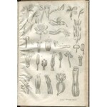 RICHARD A. - Zasady botaniki i fizyologii roślinnej ułożone podług dzieła A. Richard przez S. Pisulewskiego [1840]