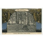 [Belovezhskaya Pushcha] Set of 7 postcards [1908].