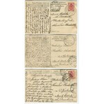 [Puszcza Białowieska] Zestaw 7 pocztówek [1908]