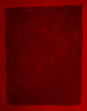 Dorota Gawron, RED nr.1 Blizna