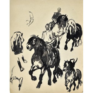 Ludwik Antoni MACIĄG (1920-2007), Szkice jeźdźca na koniu i konia w różnych ujęciach