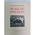 [CUDA POLSKI] Ossendowski F.Antoni PUSZCZE POLSKIE
