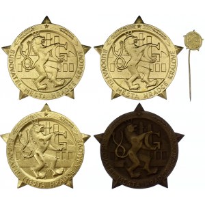 Czechoslovakia Hradec Králové City Lot of 4 Medals & Miniature