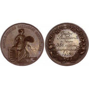 Hungary Economic Association Bronze Medal 1859