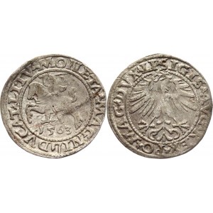 Poland 1/2 Grosz / Półgrosz 1563 Wilno